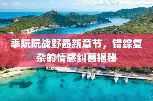 季阮阮戰(zhàn)野最新章節(jié)，錯(cuò)綜復(fù)雜的情感糾葛揭秘