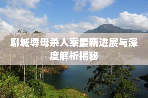 聊城辱母殺人案最新進展與深度解析揭秘