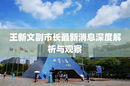 王新文副市長最新消息深度解析與觀察