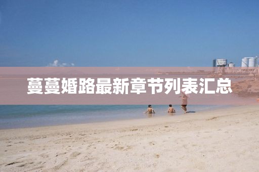 蔓蔓婚路最新章節(jié)列表匯總