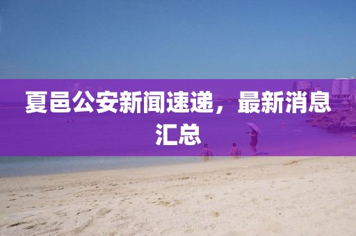 夏邑公安新聞速遞，最新消息匯總