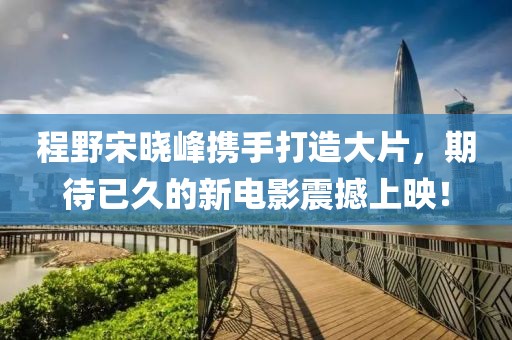 程野宋曉峰攜手打造大片，期待已久的新電影震撼上映！