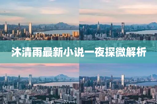 沐清雨最新小說一夜探微解析