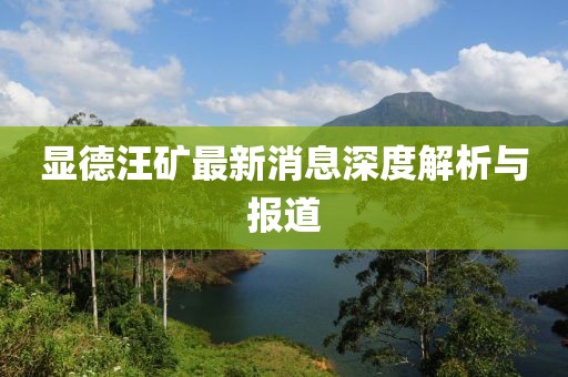 顯德汪礦最新消息深度解析與報(bào)道