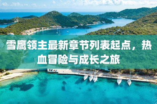 雪鷹領主最新章節(jié)列表起點，熱血冒險與成長之旅