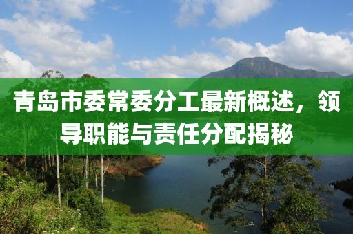青島市委常委分工最新概述，領(lǐng)導(dǎo)職能與責(zé)任分配揭秘