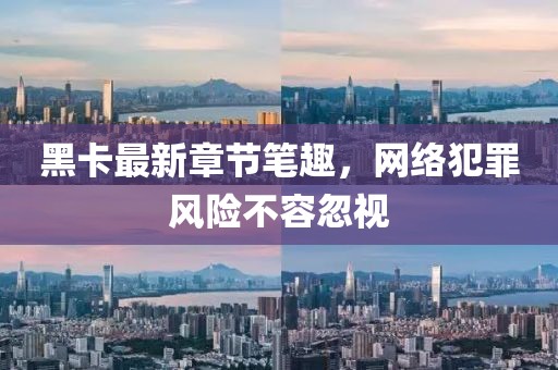 黑卡最新章節(jié)筆趣，網(wǎng)絡(luò)犯罪風(fēng)險(xiǎn)不容忽視