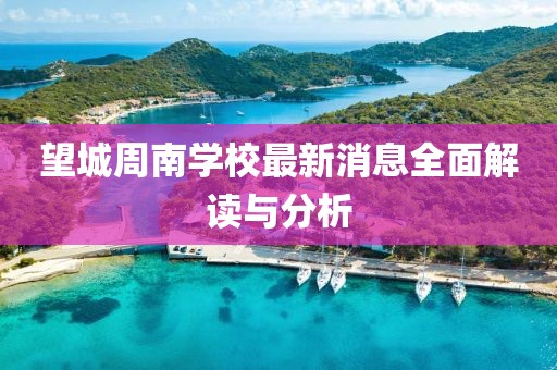 杏頭疏影 第13頁