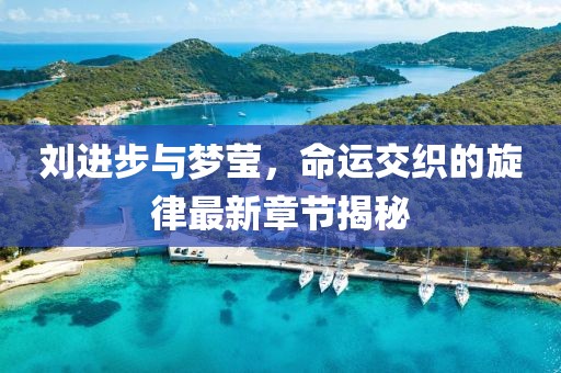 劉進步與夢瑩，命運交織的旋律最新章節(jié)揭秘