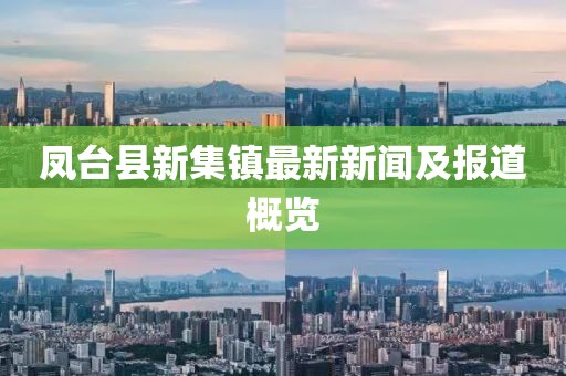 鳳臺縣新集鎮(zhèn)最新新聞及報道概覽