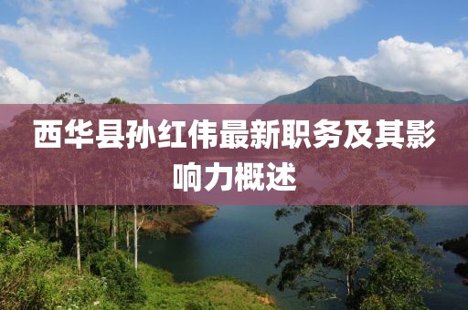 西華縣孫紅偉最新職務(wù)及其影響力概述