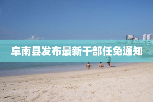 阜南縣發(fā)布最新干部任免通知