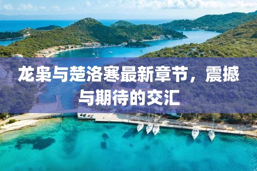 龍梟與楚洛寒最新章節(jié)，震撼與期待的交匯