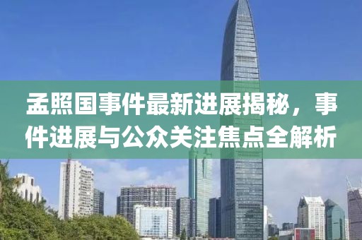 孟照國事件最新進(jìn)展揭秘，事件進(jìn)展與公眾關(guān)注焦點(diǎn)全解析