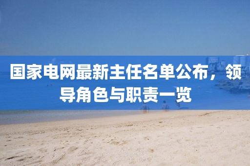 國(guó)家電網(wǎng)最新主任名單公布，領(lǐng)導(dǎo)角色與職責(zé)一覽