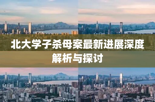 北大學(xué)子殺母案最新進展深度解析與探討