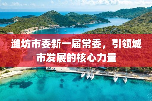 濰坊市委新一屆常委，引領(lǐng)城市發(fā)展的核心力量