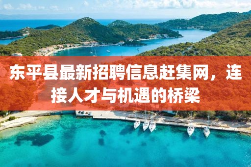 東平縣最新招聘信息趕集網(wǎng)，連接人才與機遇的橋梁