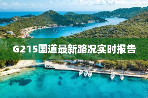 G215國道最新路況實時報告