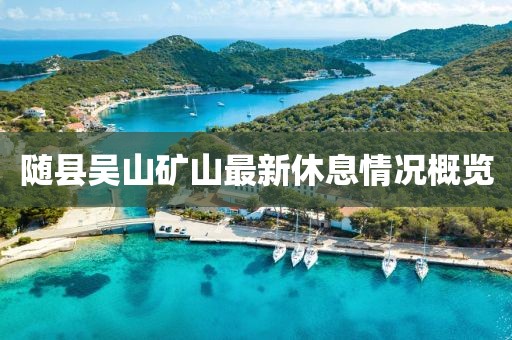 隨縣吳山礦山最新休息情況概覽