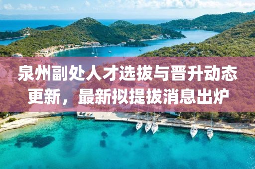 泉州副處人才選拔與晉升動(dòng)態(tài)更新，最新擬提拔消息出爐