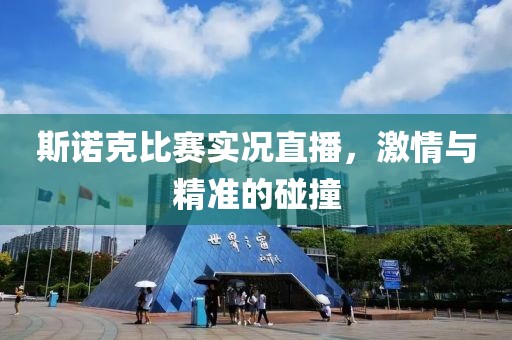 斯諾克比賽實(shí)況直播，激情與精準(zhǔn)的碰撞