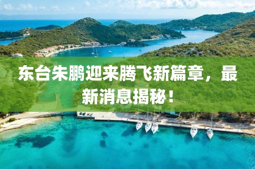 東臺(tái)朱鵬迎來(lái)騰飛新篇章，最新消息揭秘！