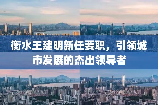 衡水王建明新任要職，引領(lǐng)城市發(fā)展的杰出領(lǐng)導(dǎo)者