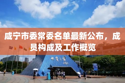 咸寧市委常委名單最新公布，成員構(gòu)成及工作概覽