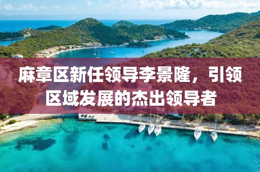 麻章區(qū)新任領(lǐng)導(dǎo)李景隆，引領(lǐng)區(qū)域發(fā)展的杰出領(lǐng)導(dǎo)者