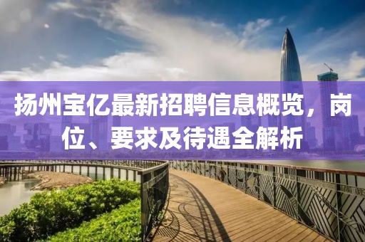 揚州寶億最新招聘信息概覽，崗位、要求及待遇全解析