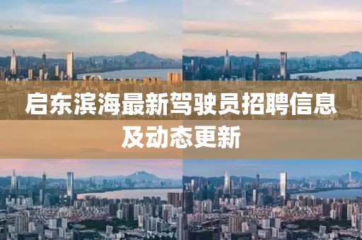 啟東濱海最新駕駛員招聘信息及動態(tài)更新
