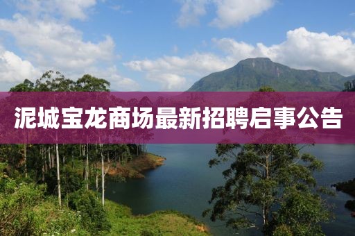 泥城寶龍商場最新招聘啟事公告