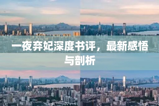 一夜棄妃深度書評(píng)，最新感悟與剖析