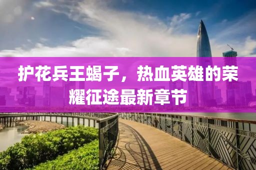 護花兵王蝎子，熱血英雄的榮耀征途最新章節(jié)