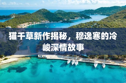 貓千草新作揭秘，穆逸寒的冷峻深情故事