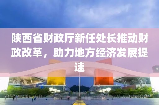 陜西省財(cái)政廳新任處長推動(dòng)財(cái)政改革，助力地方經(jīng)濟(jì)發(fā)展提速