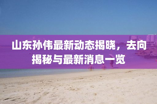 山東孫偉最新動態(tài)揭曉，去向揭秘與最新消息一覽