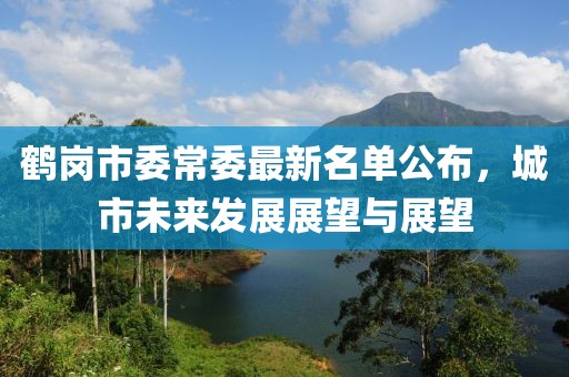 鶴崗市委常委最新名單公布，城市未來發(fā)展展望與展望
