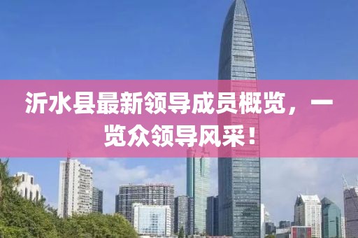 沂水縣最新領導成員概覽，一覽眾領導風采！