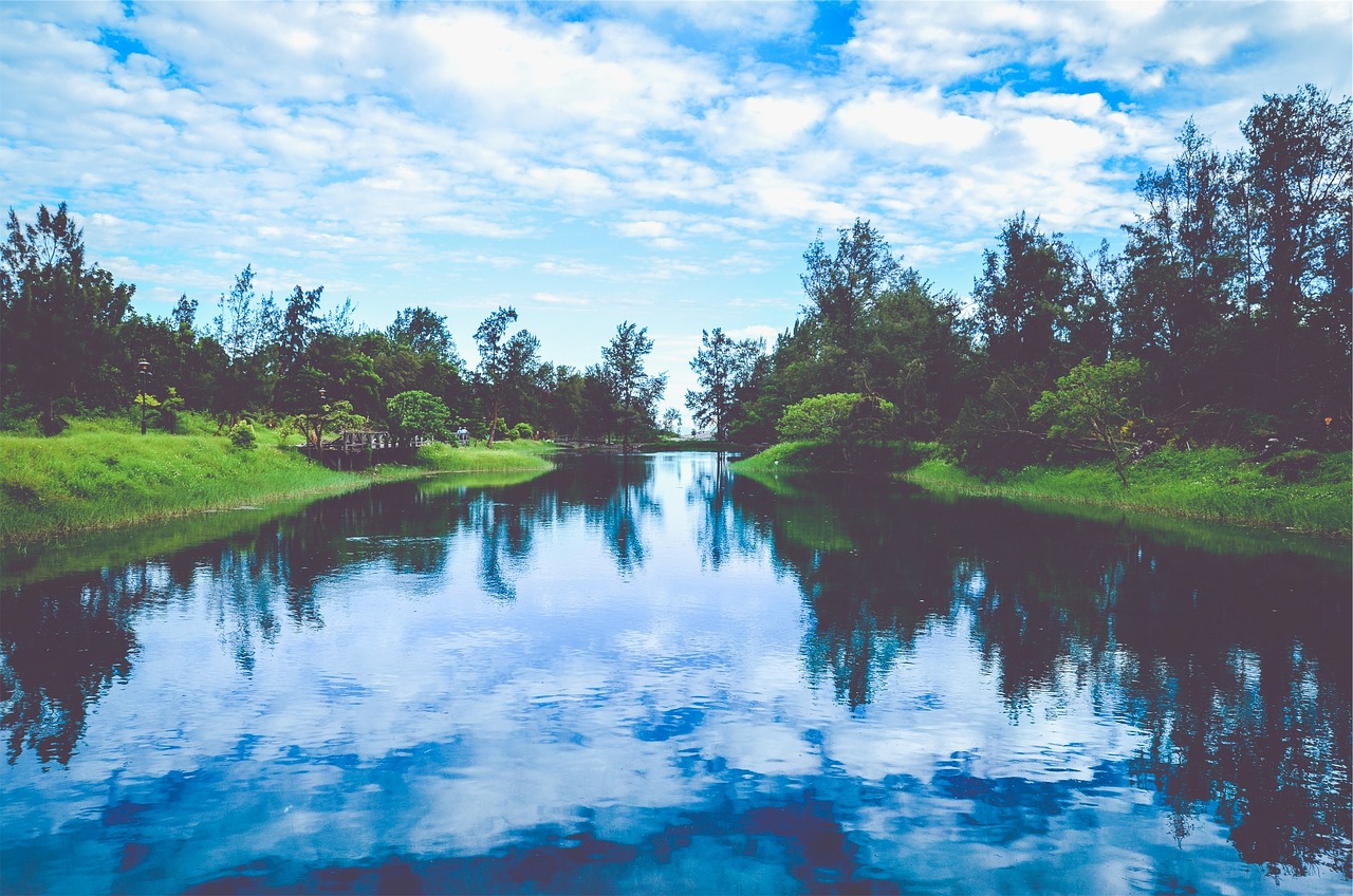 韓國(guó)薩德最新動(dòng)態(tài)，全球關(guān)注下的焦點(diǎn)事件分析視頻揭秘最新消息