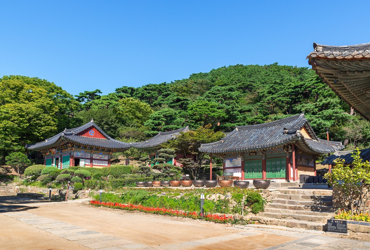 廣饒四季花城，繁榮盛景與未來(lái)期待揭秘