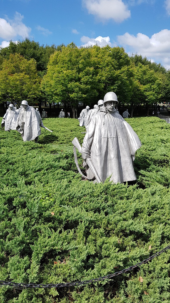 退役軍人部事務(wù)部最新動態(tài)深度解析，更新消息與退役軍人事務(wù)進展報告
